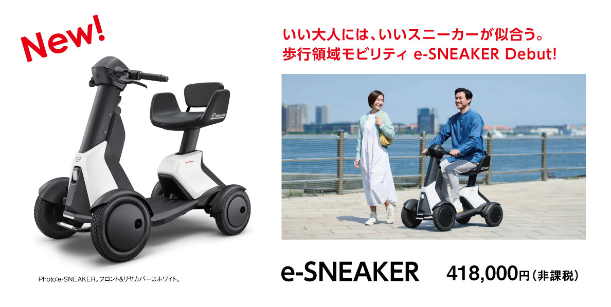 eスニーカーの内装